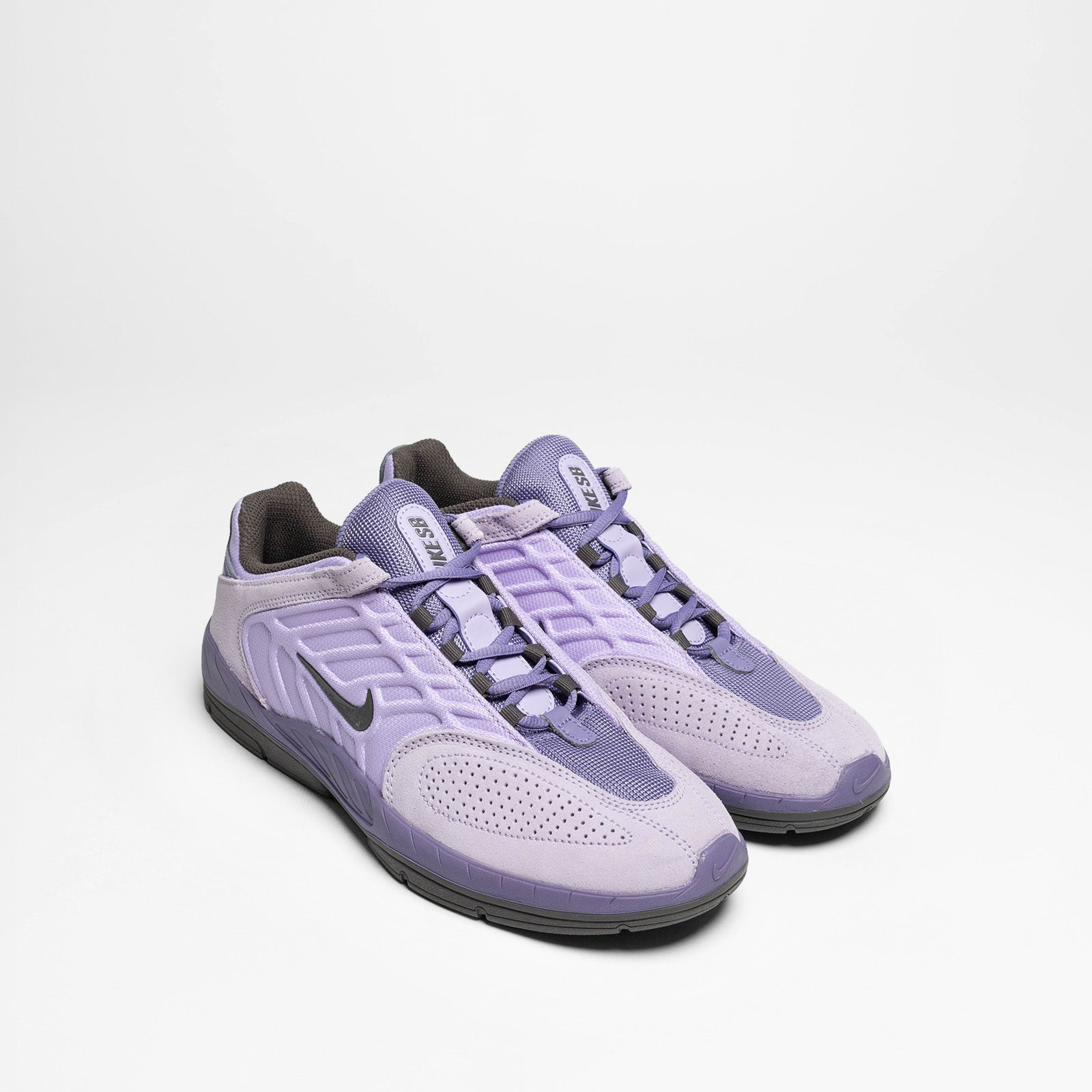 Vertebrae Hydrangeas