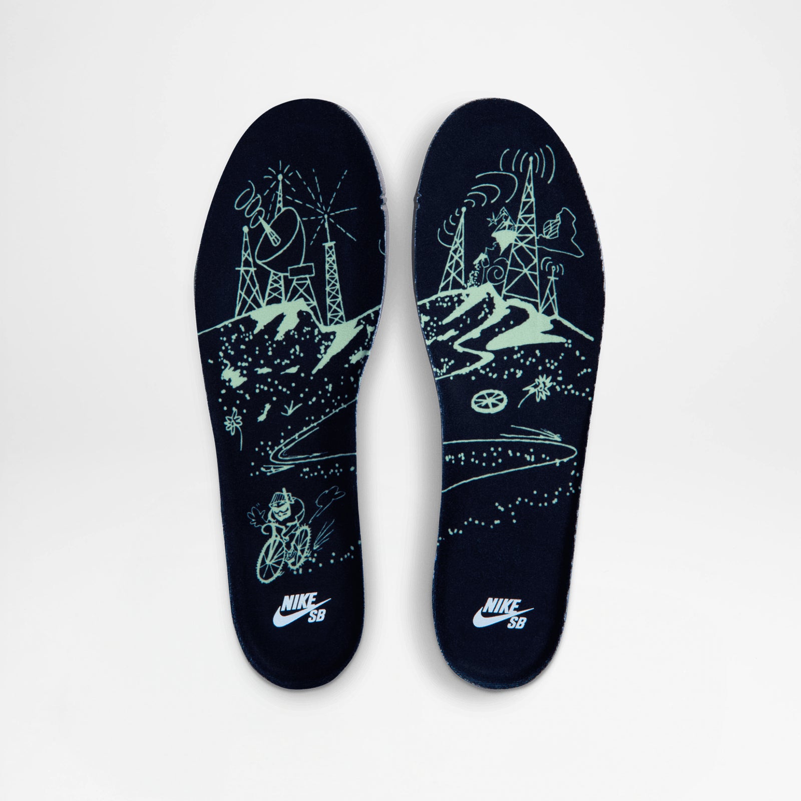 Dunk Low Pro PRM Verdugo Mountain